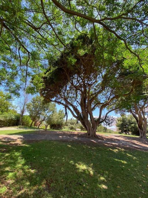 Apt Moderno Con Vistas, Recepcion 24 Hs Y Piscinas Benalmádena Esterno foto